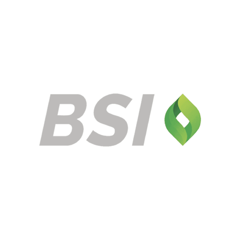 BSI