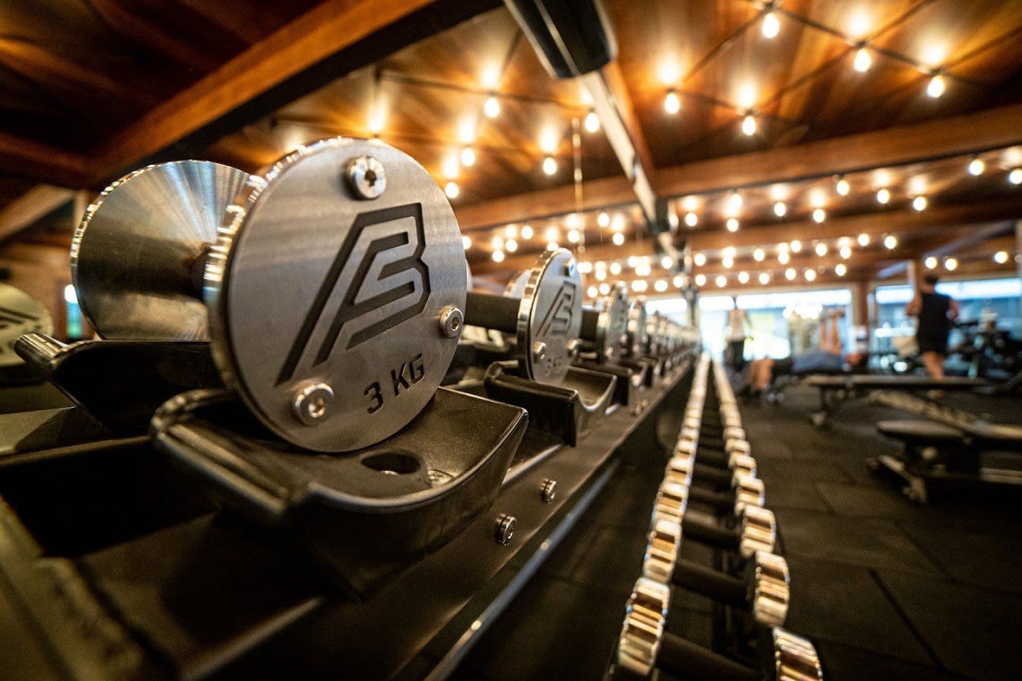 Gym equipment names and uses - Body Factory Bali