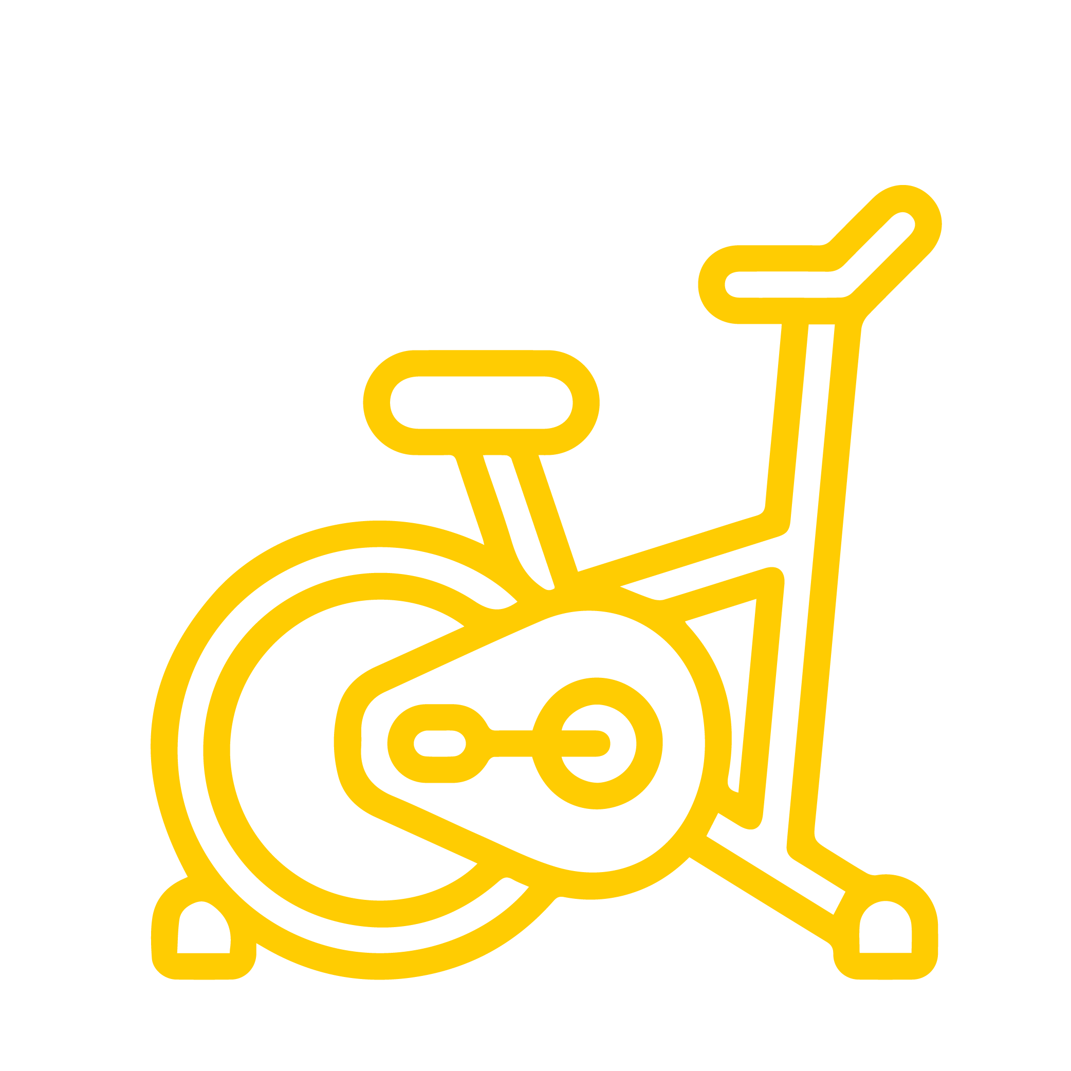 Fitness