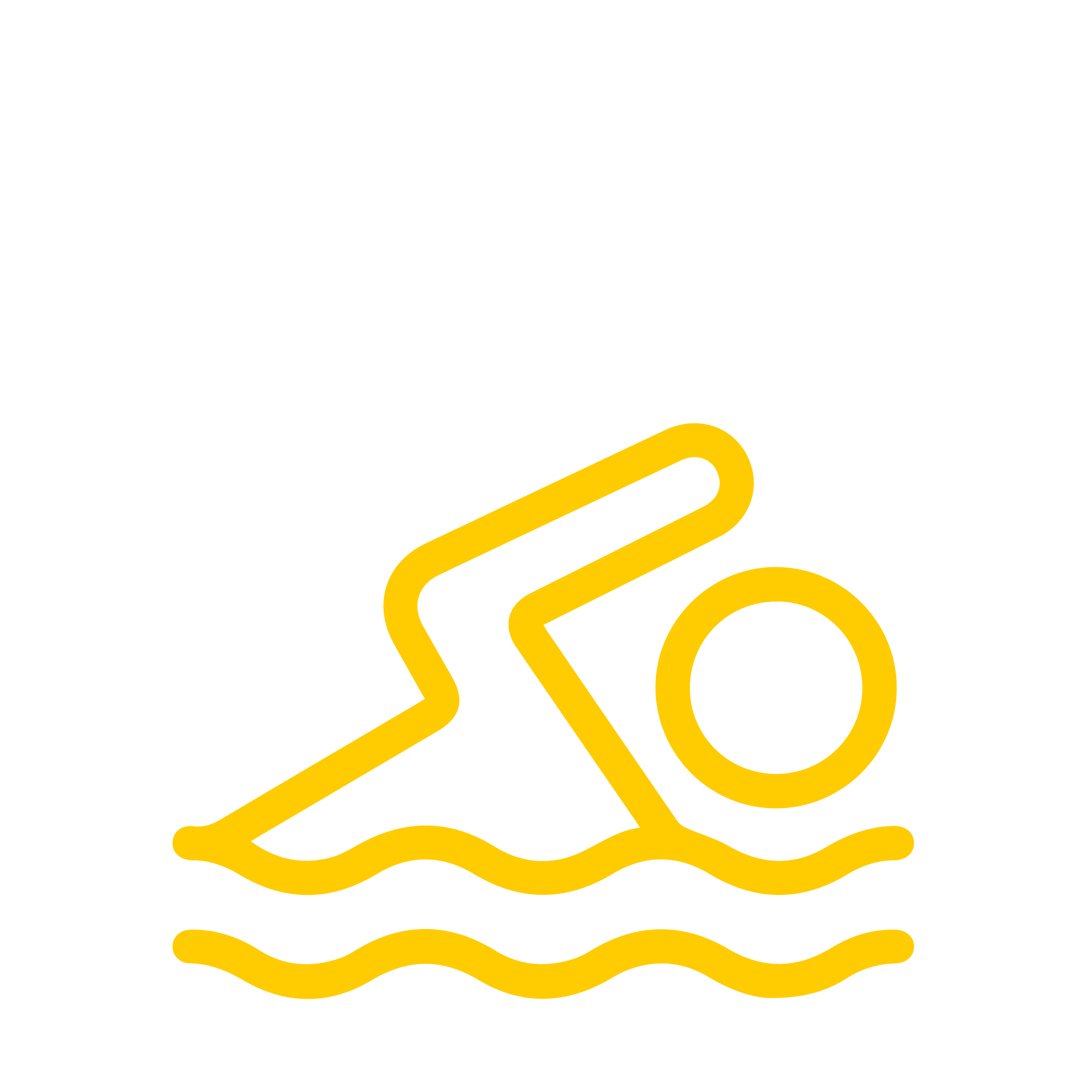 Rooftop Pool